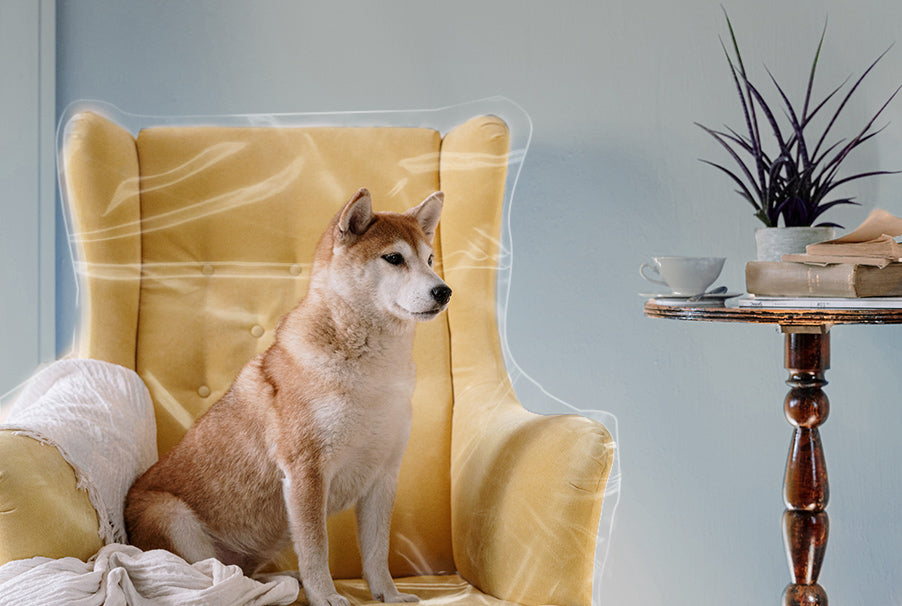 Furniture covers