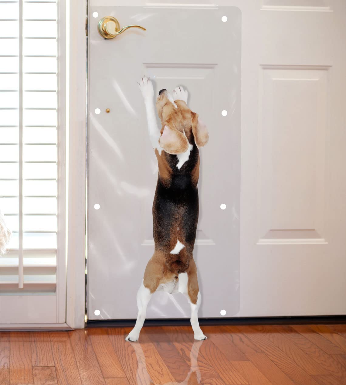 LAMINET The Original Deluxe Dog Scratch Shield - Protect Your Doors & Walls with Our Deluxe Heavy-Duty Flexible Plastic Dog Scratch Shield - (36L x 16W - INCHES)